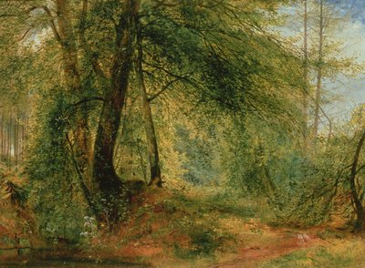 The Woodland Mirror by Richard Redgrave